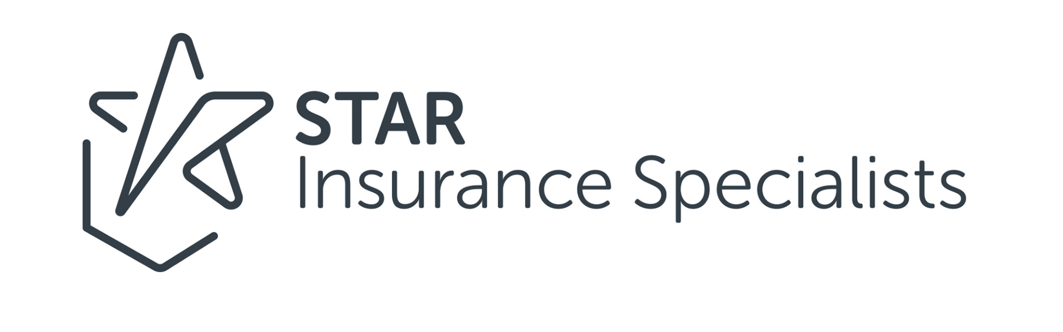 Star Insurance Specialists Naming And Brand